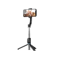 WiWU Wi-SE001 Detachable Tripod Selfie Stick Martvaly